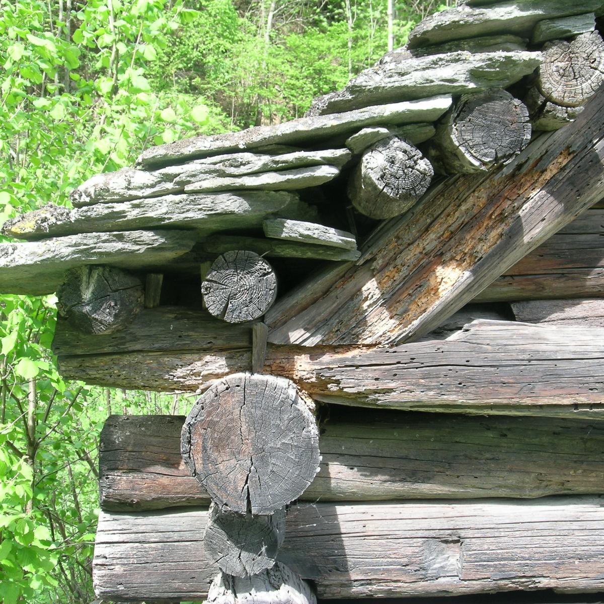 Bavona 2006